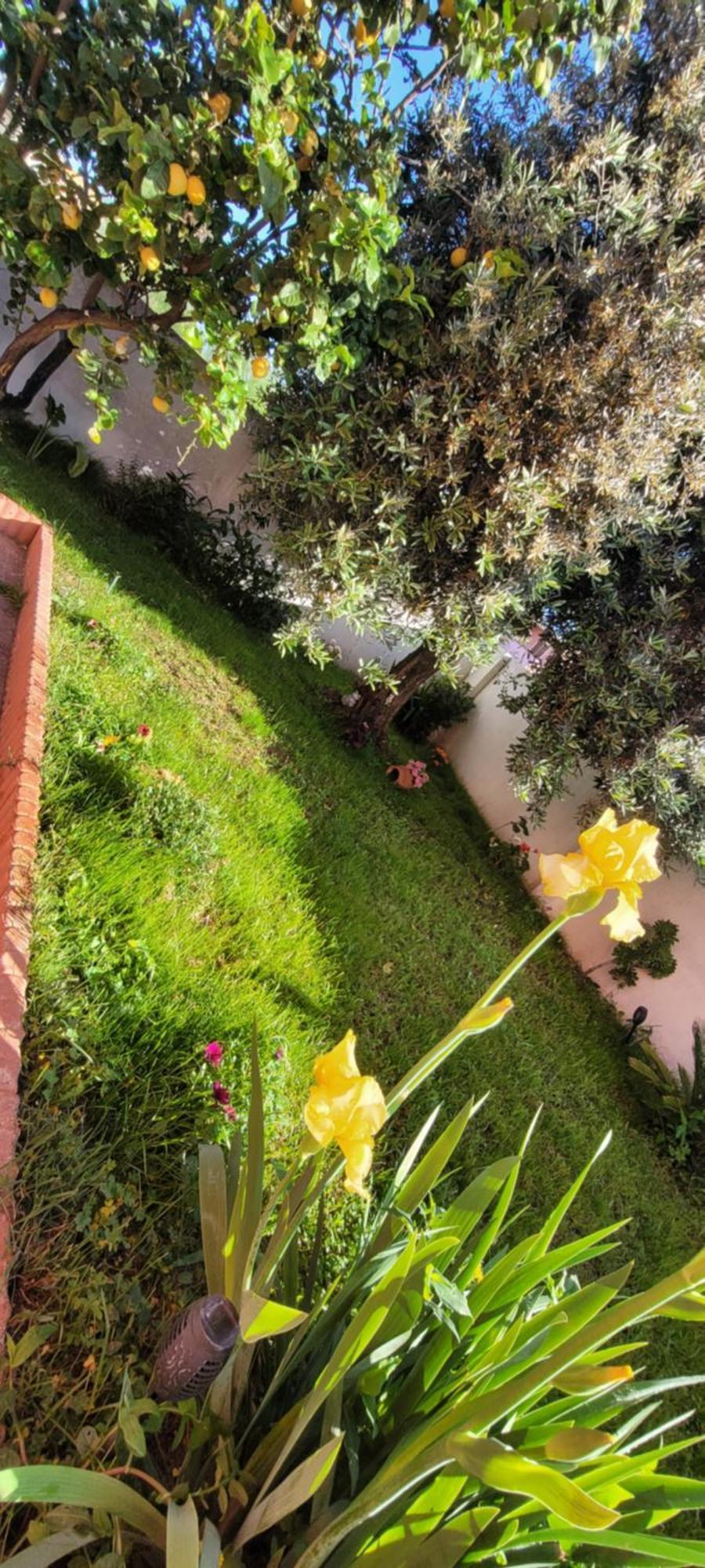 Kokky'S Home Su Forti Exterior foto